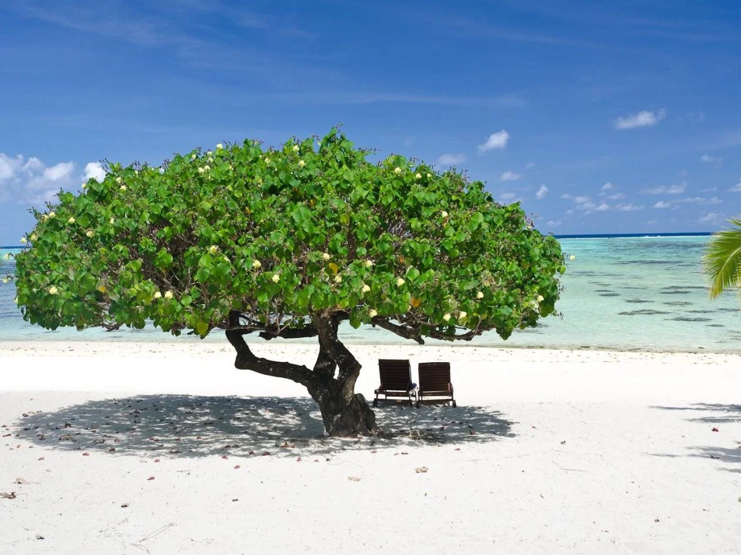 Etu Moana Boutique Beach Villas - Adults Only