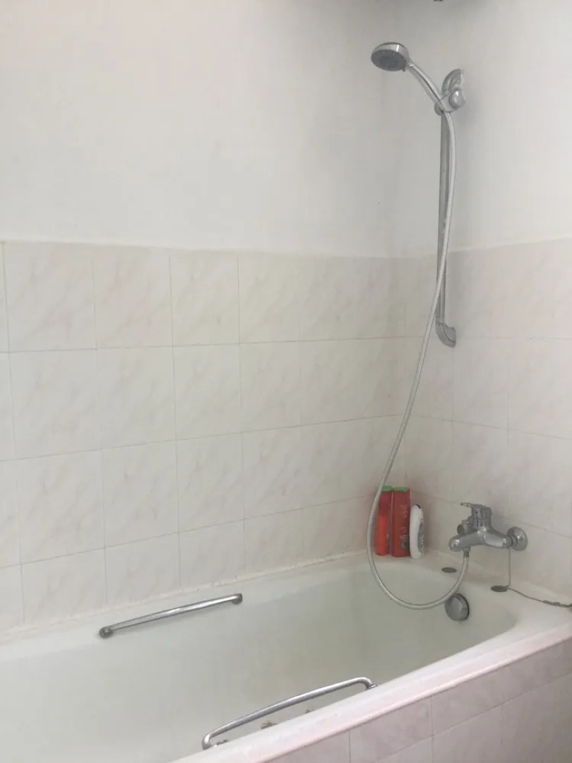 Sea Lion by the Beach