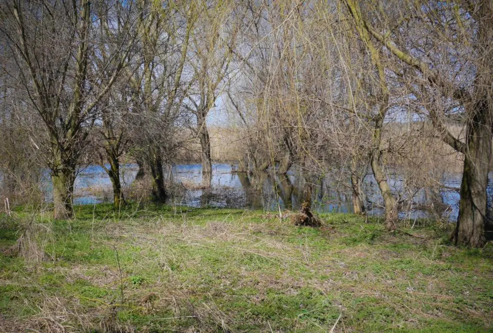 Srebarna Lakeview Apartments