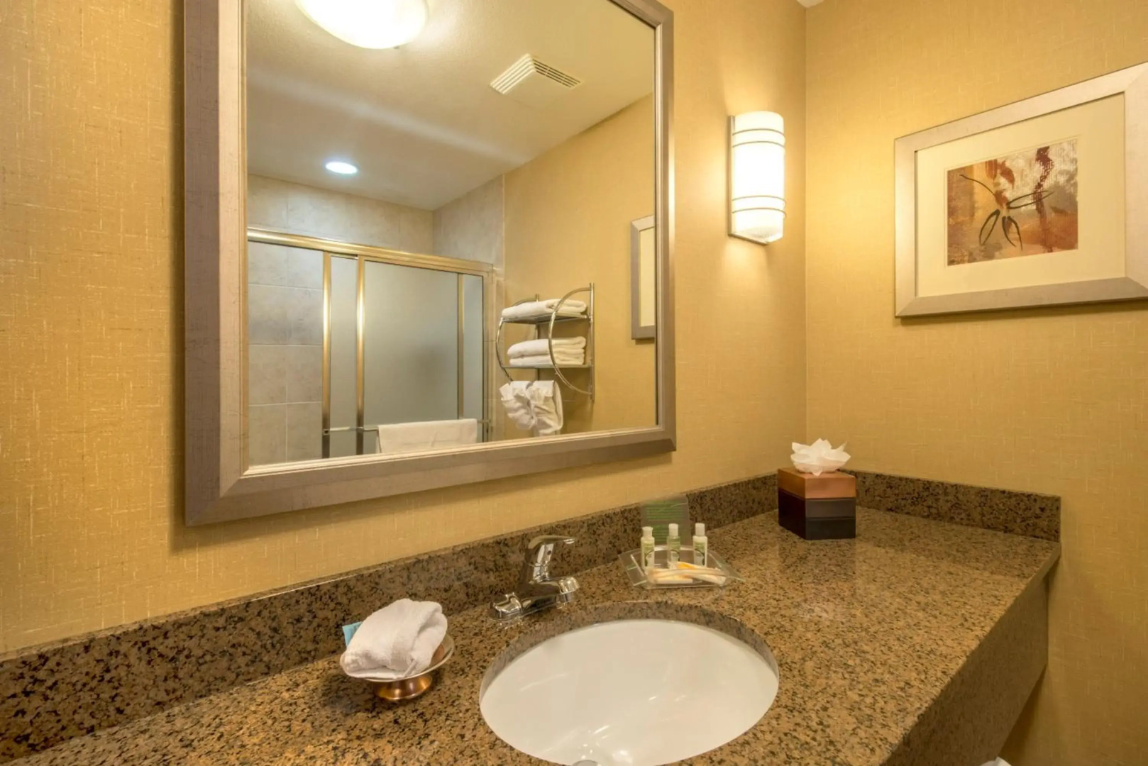Comfort Suites Visalia Convention Center