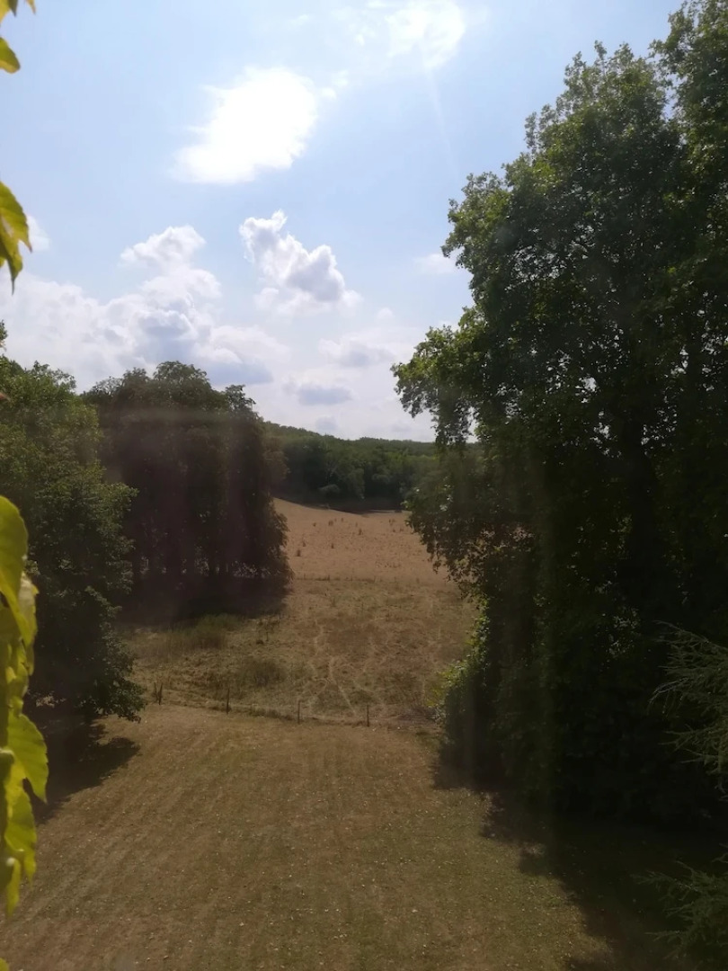 Mansion With 7 Bedrooms in Mosnay, With Enclosed Garden and Wifi