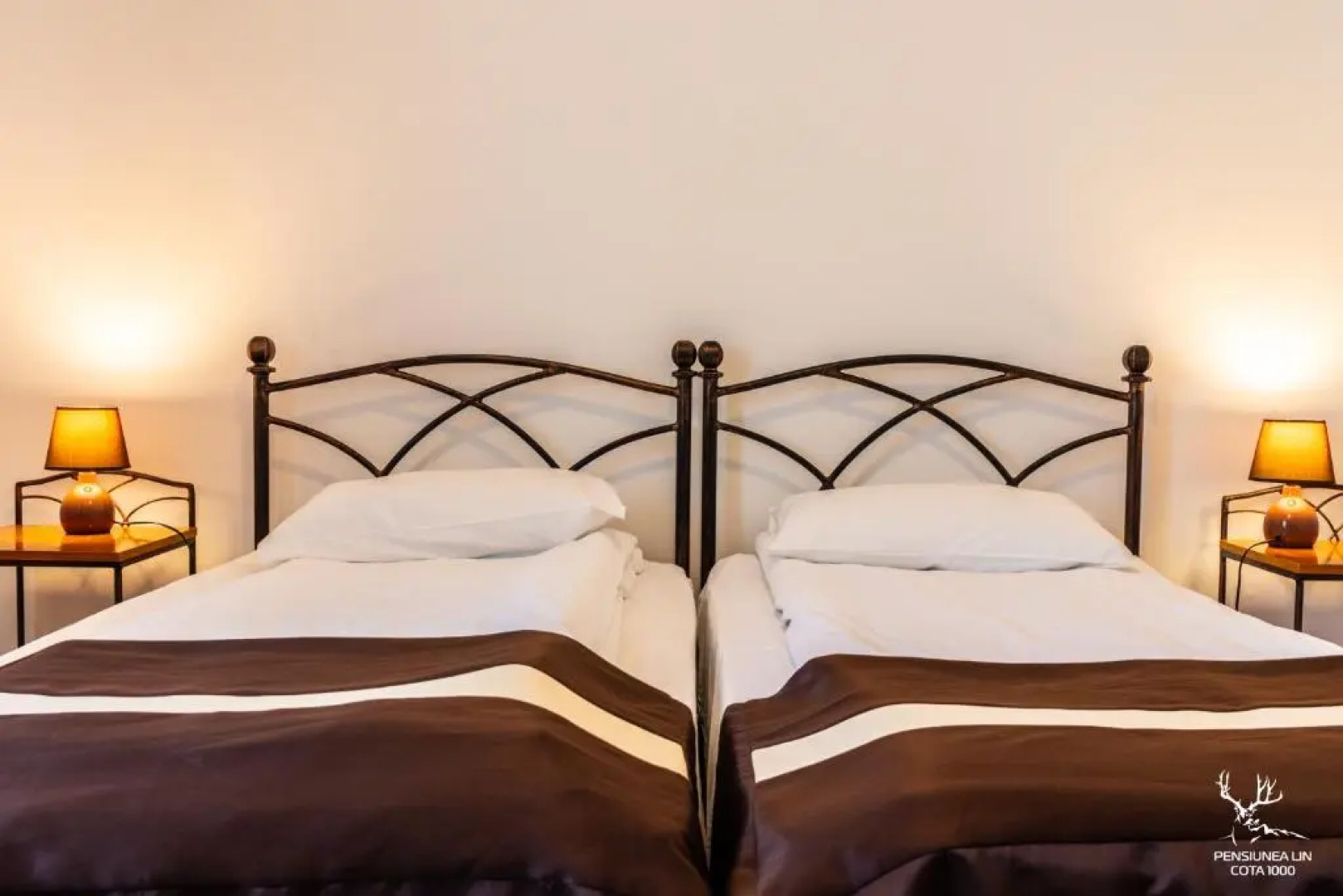 Pensiunea LIN COTA 1000