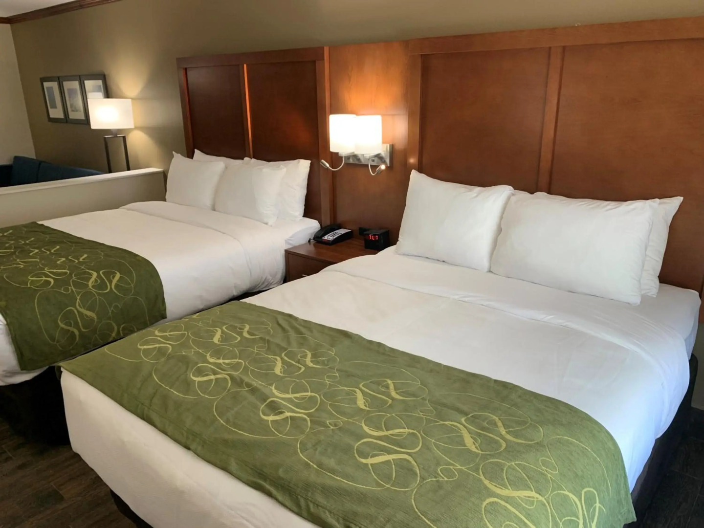 Comfort Suites West Monroe near Ike Hamilton Expo Center