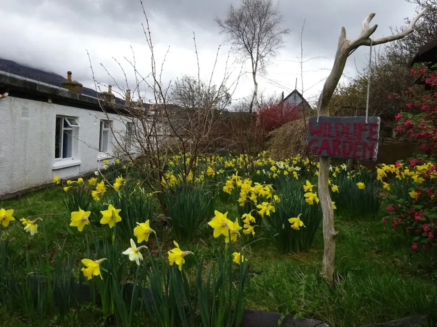Ullapool Youth Hostel