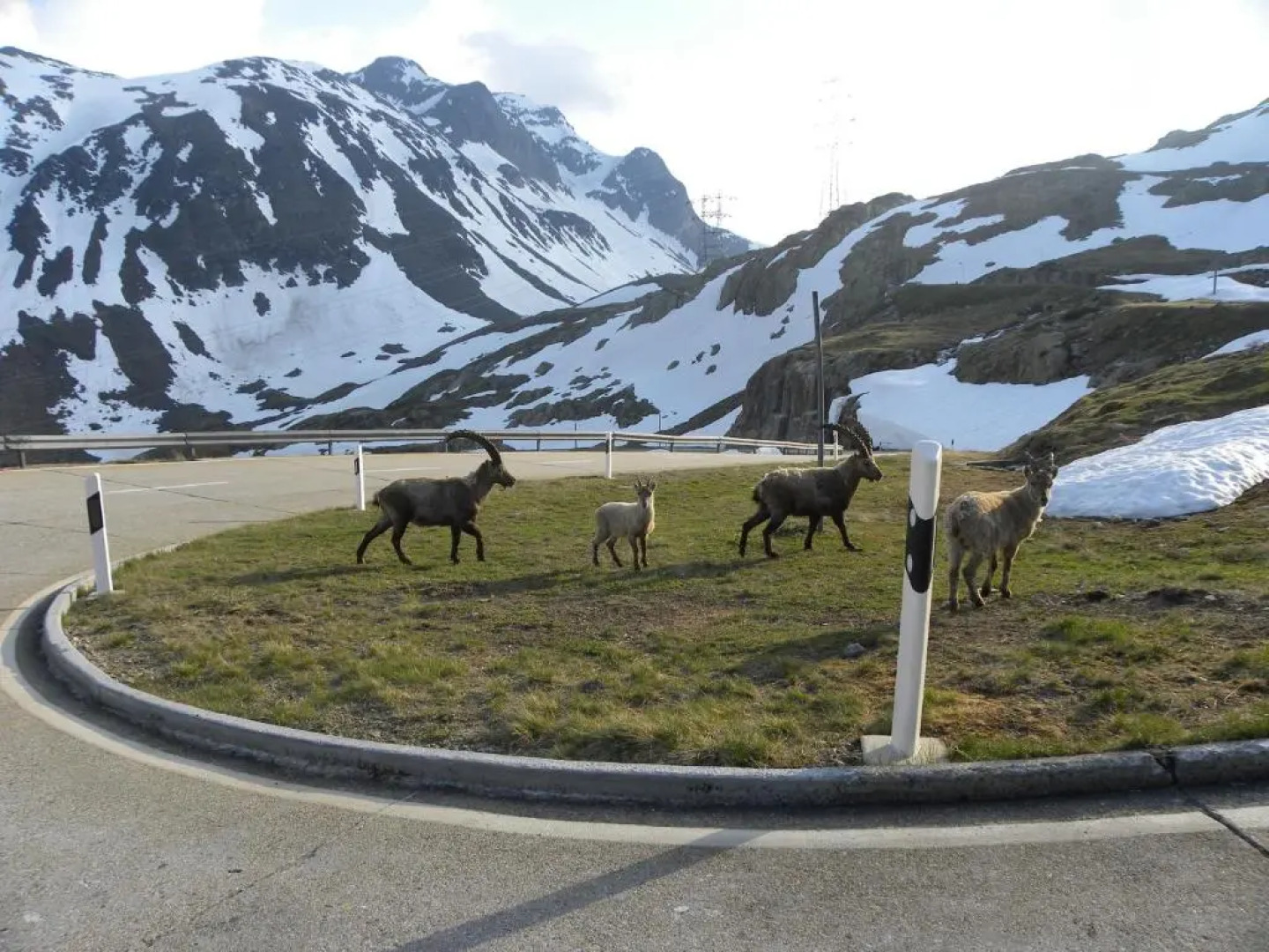 Hotel Restaurant Walliser Sonne
