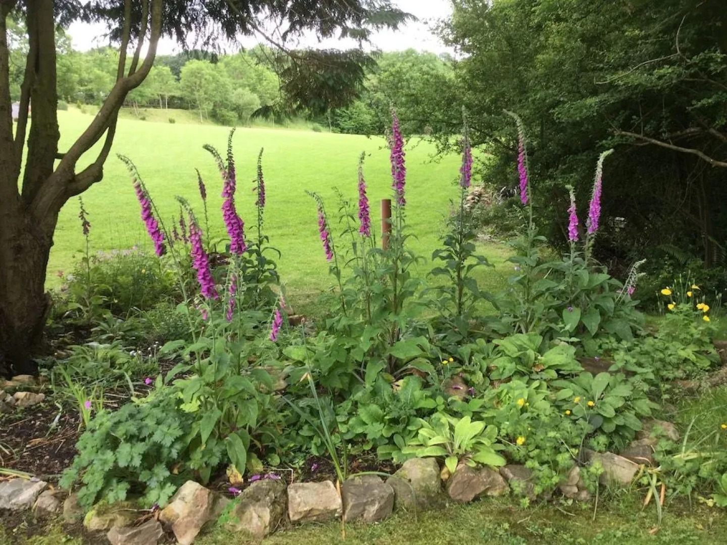 Pen-y-Bont Guest House
