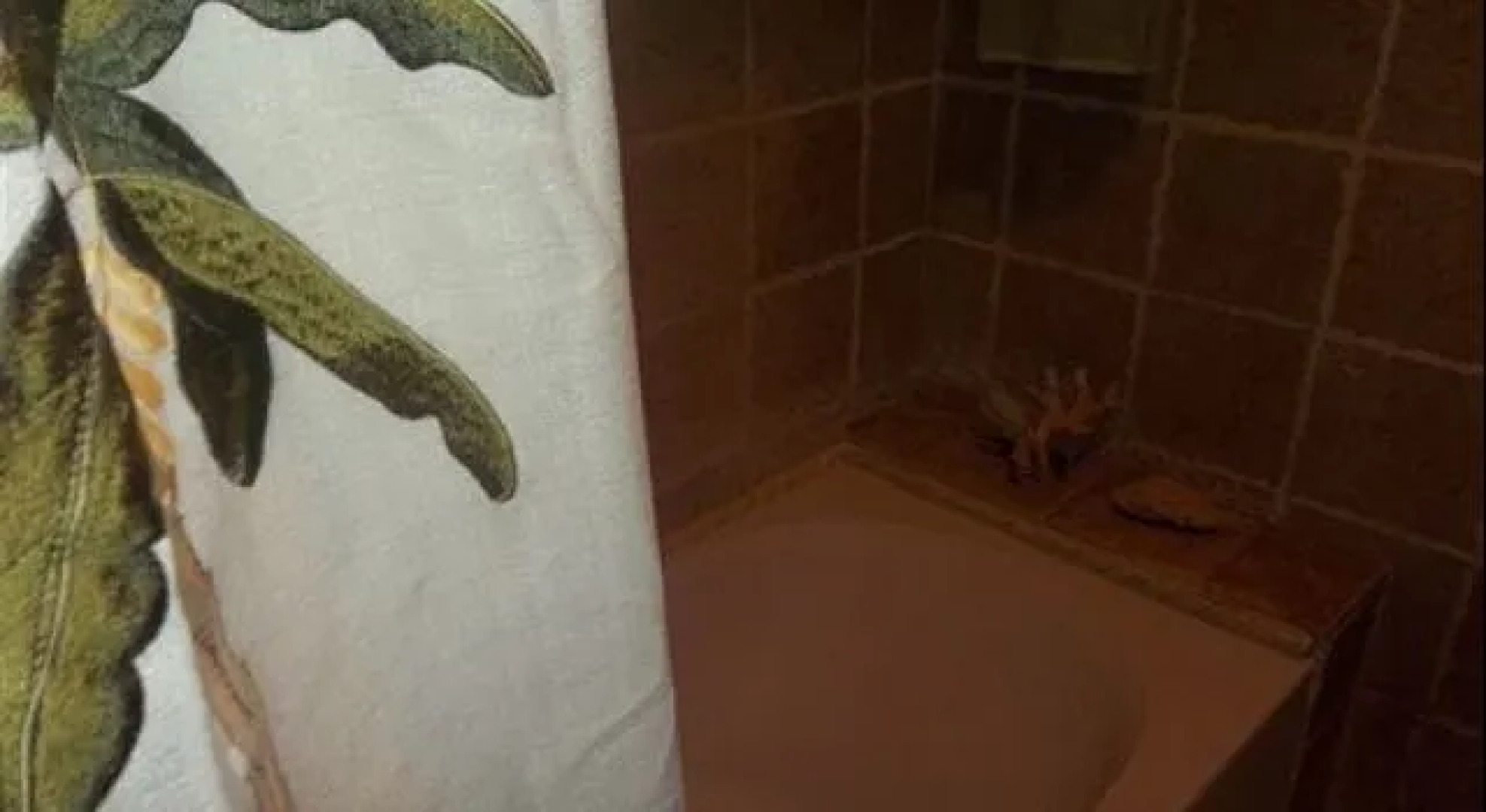 The Colonial Rental Suite