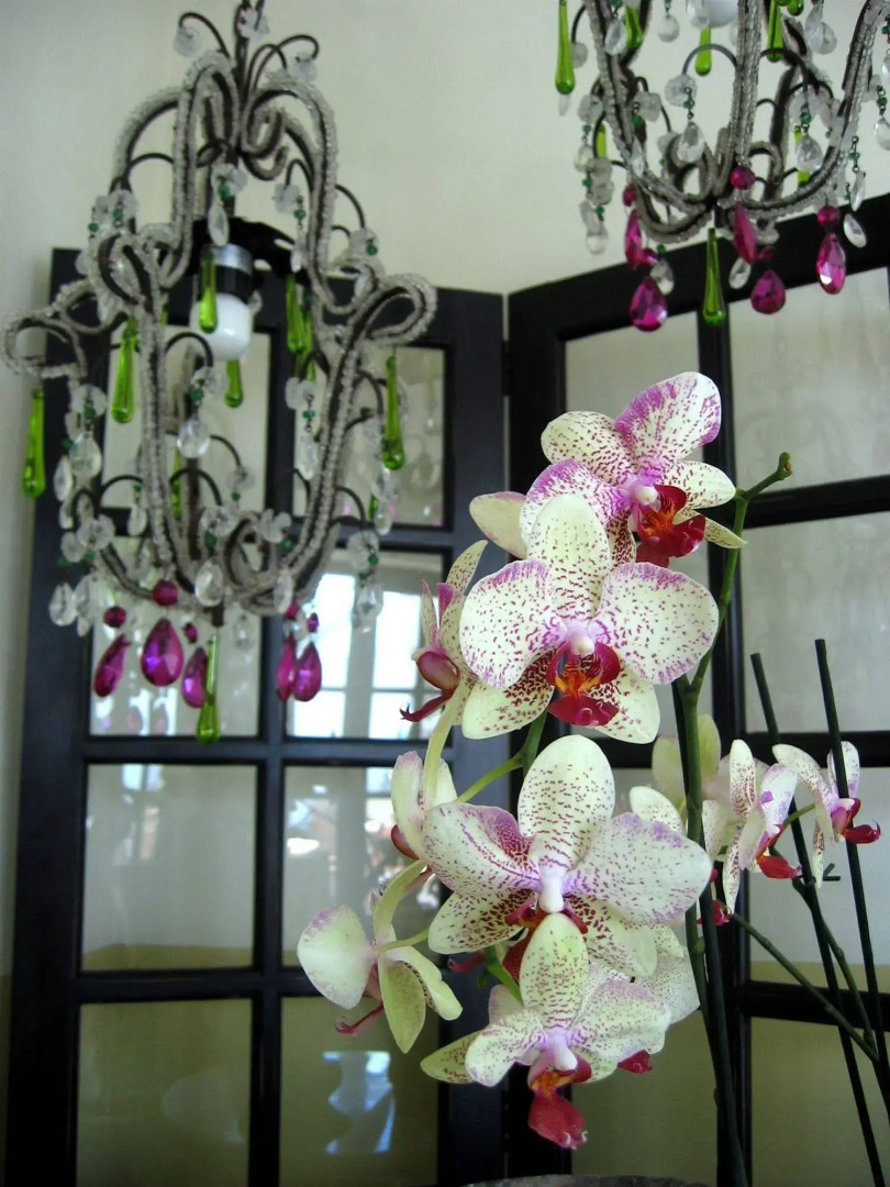 Posada Rural La Venteta