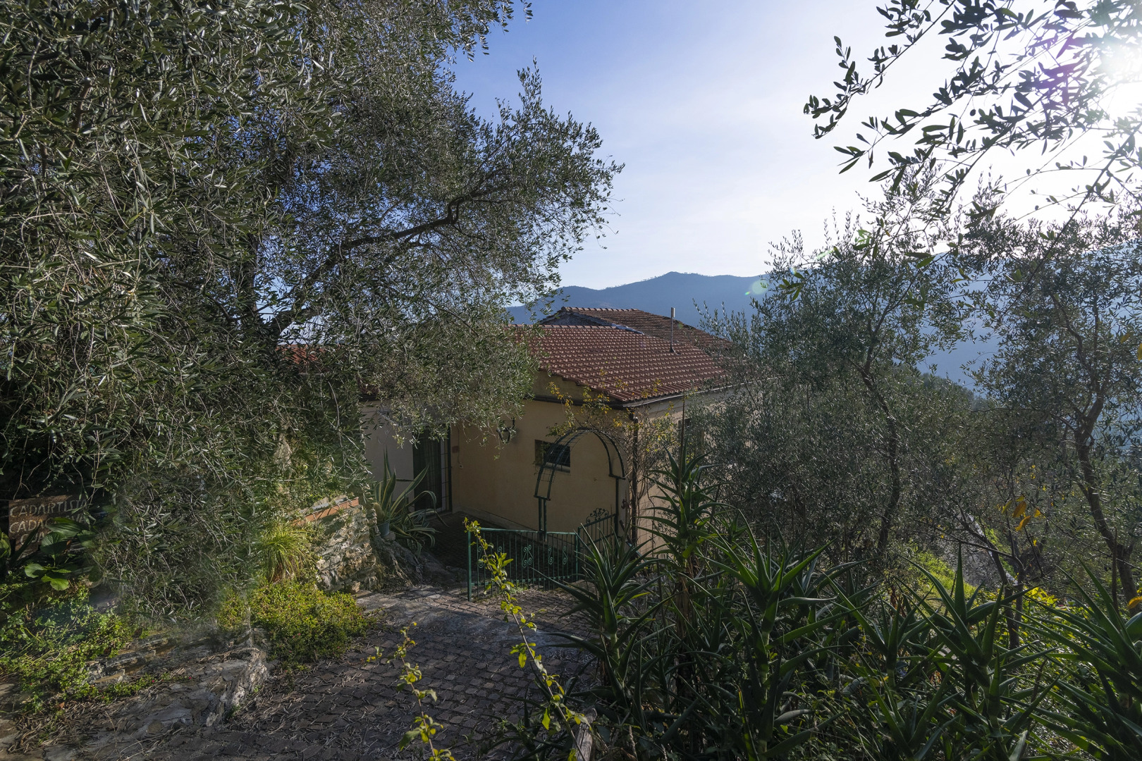 Ca D'artista For Nature Lovers