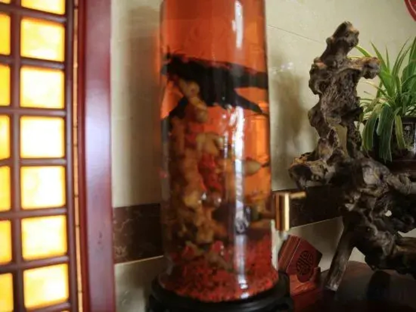 the Jiuhua Mountain Chicken Heights