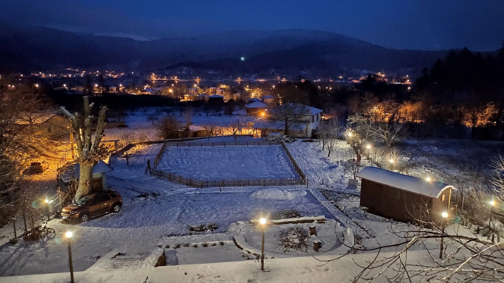 Torrhebia Dag Evi
