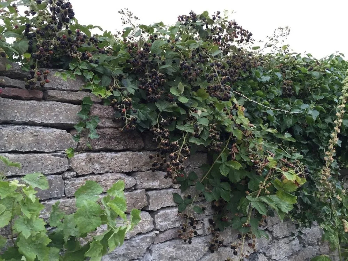 Gammalsbygårdens Gästgiveri