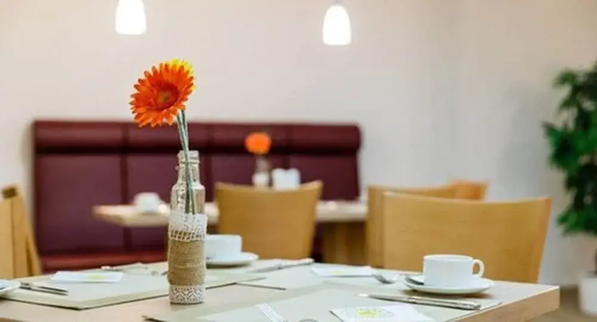 Thöles Am Allerpark Verden