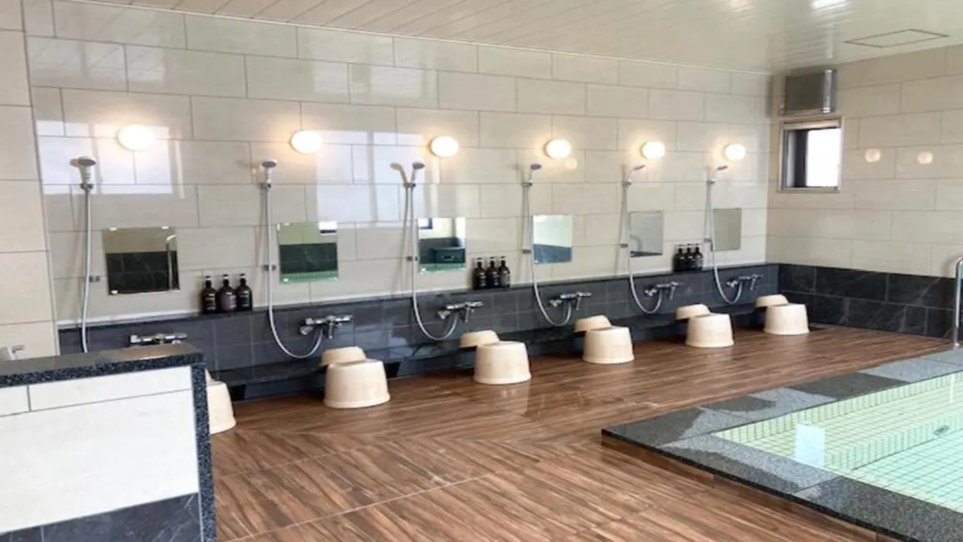 Sabae Dai-ichi Hotel