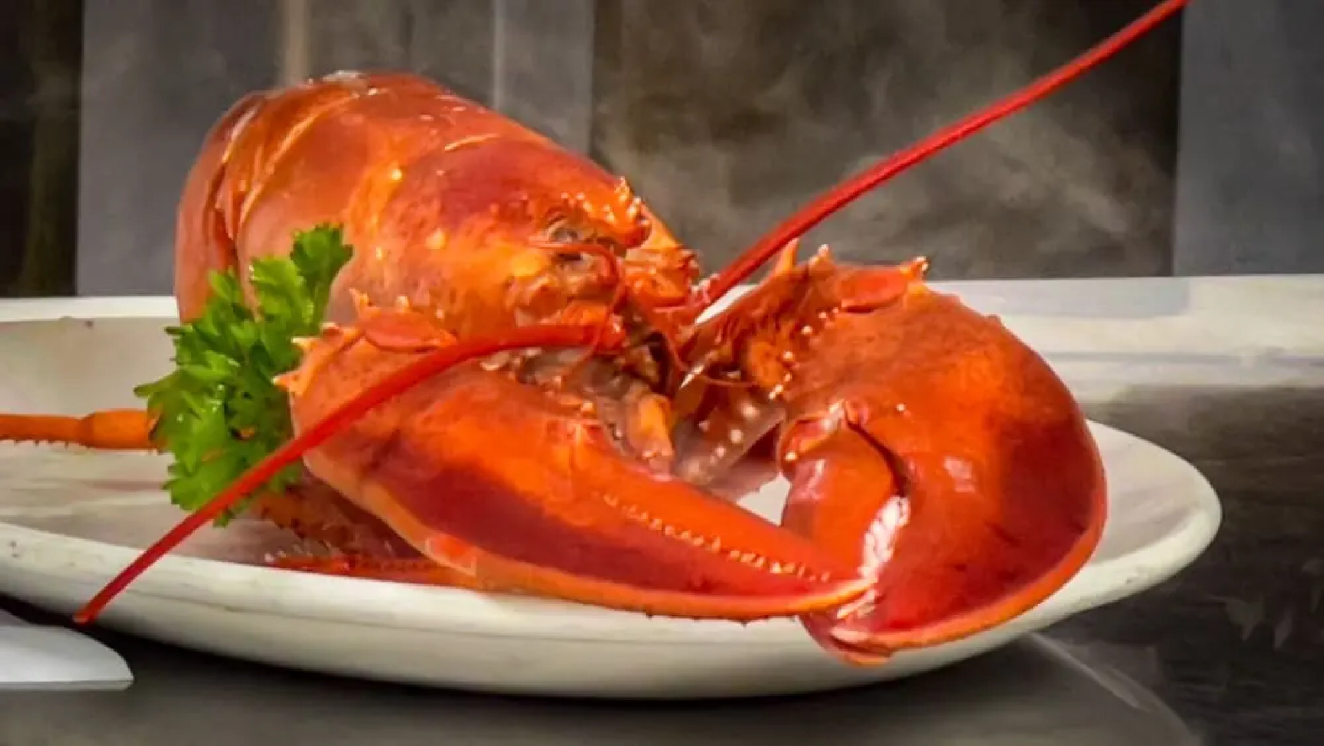 Lucky Stone Retreat - Private Beach & Acadia View