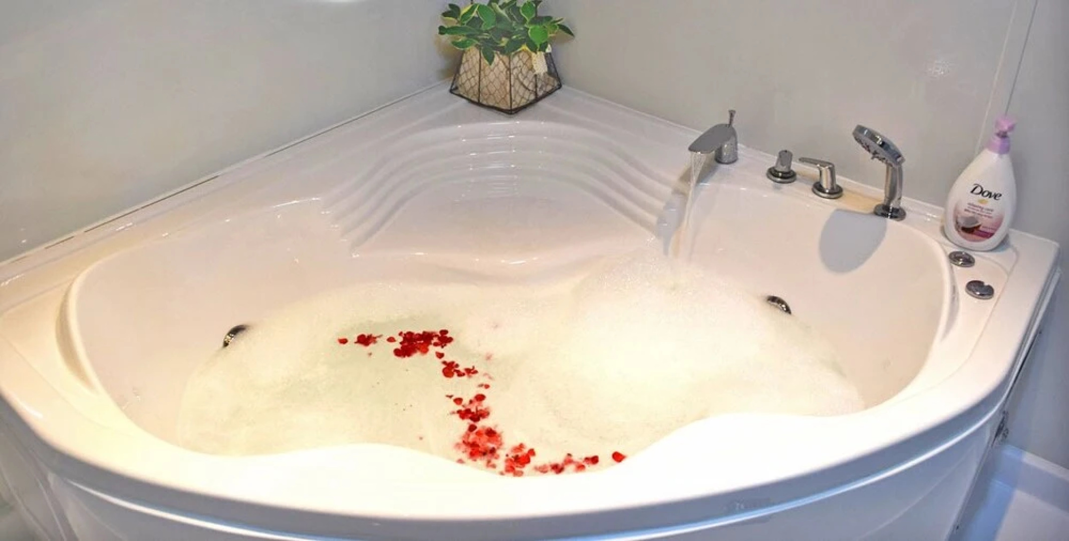 Wando Arboretum Park Pension