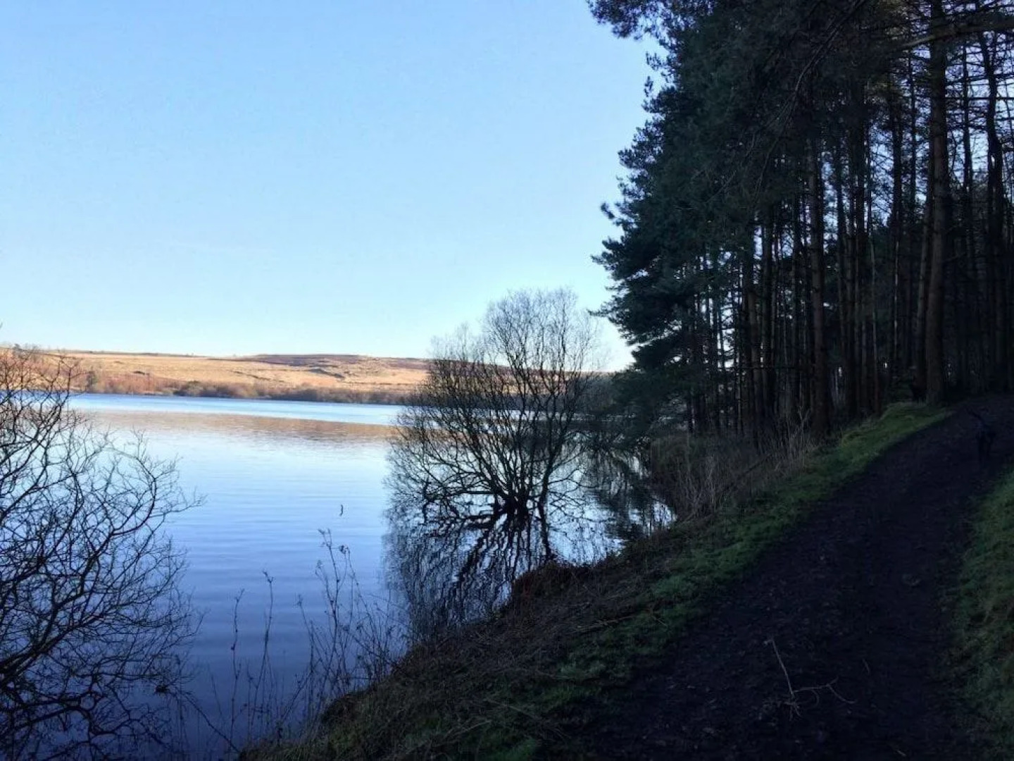 East Wayside Bed & Breakfast