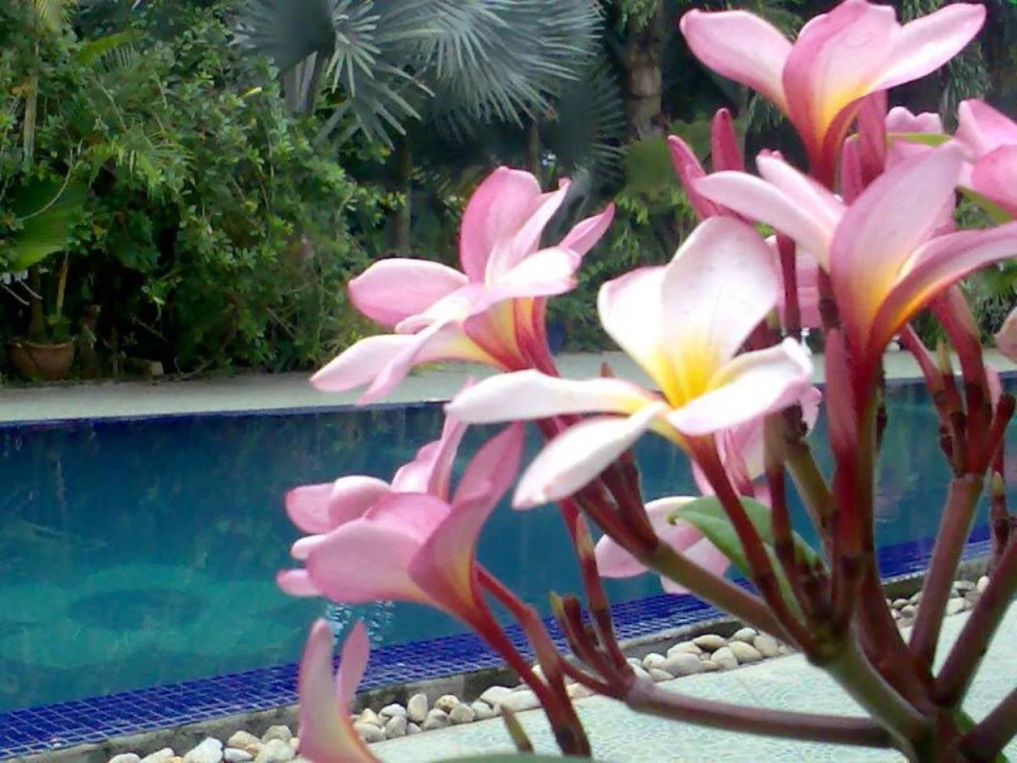 Seri Pengantin Resort