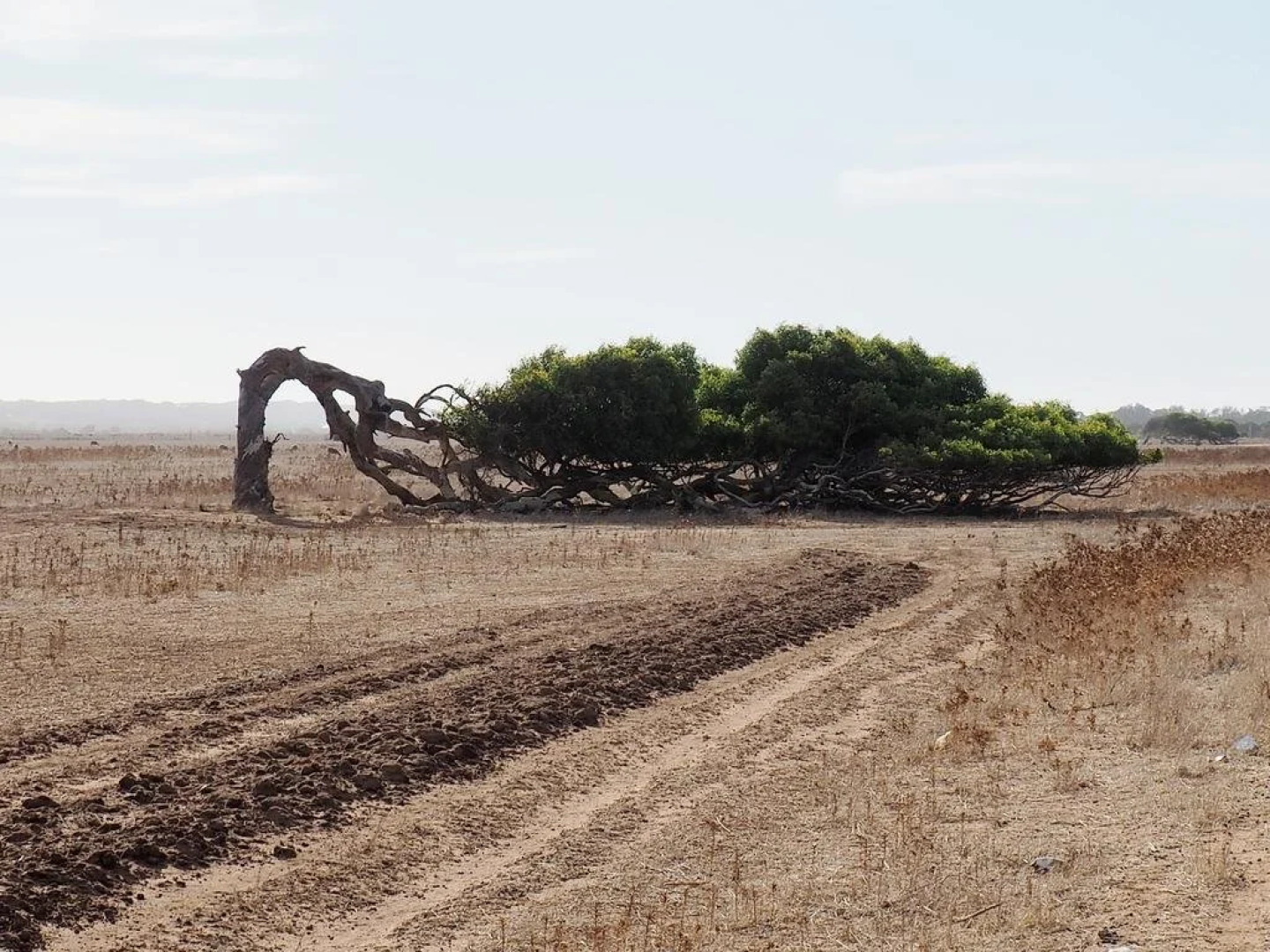 Geraldton's Ocean West
