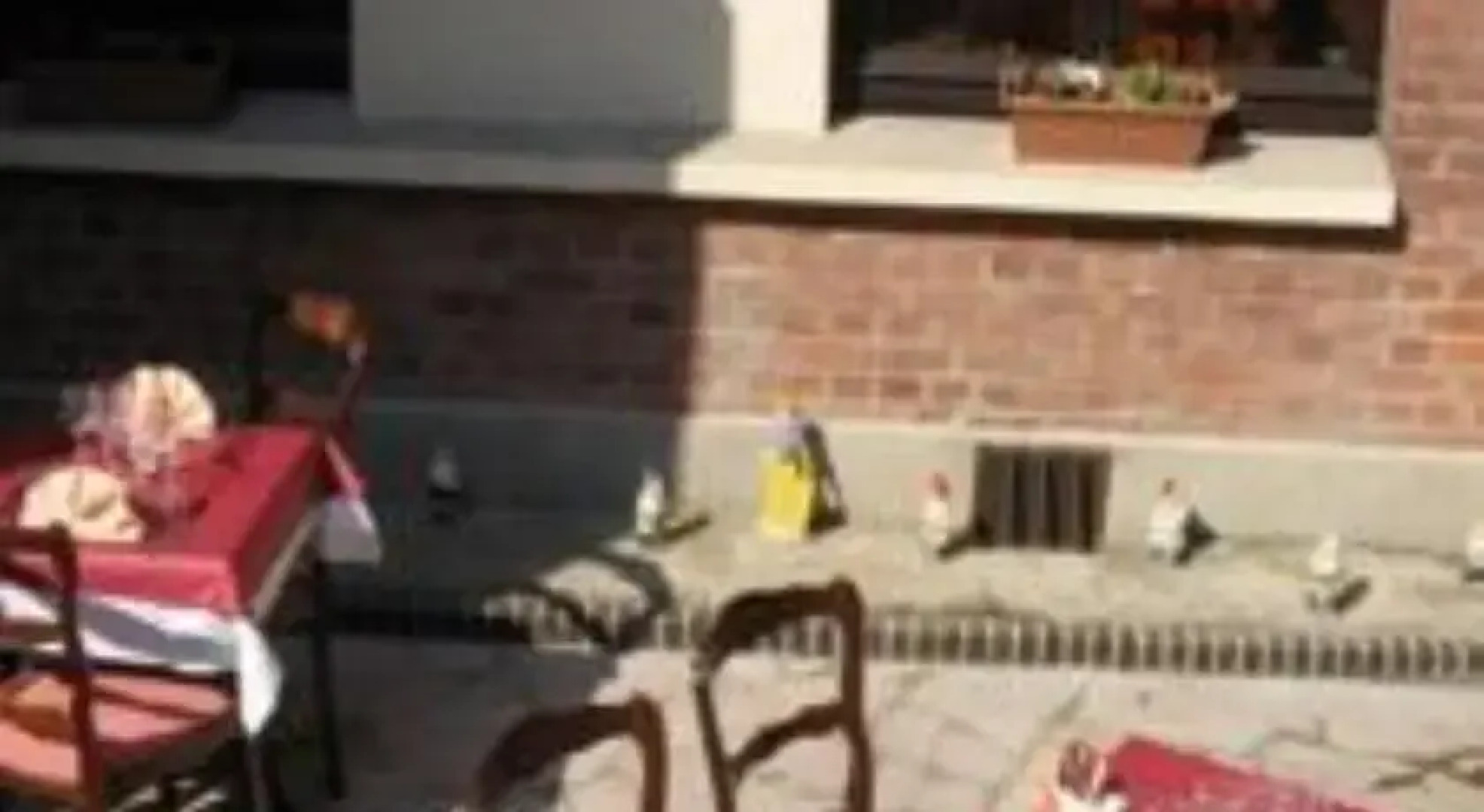 LEscale des Flandres