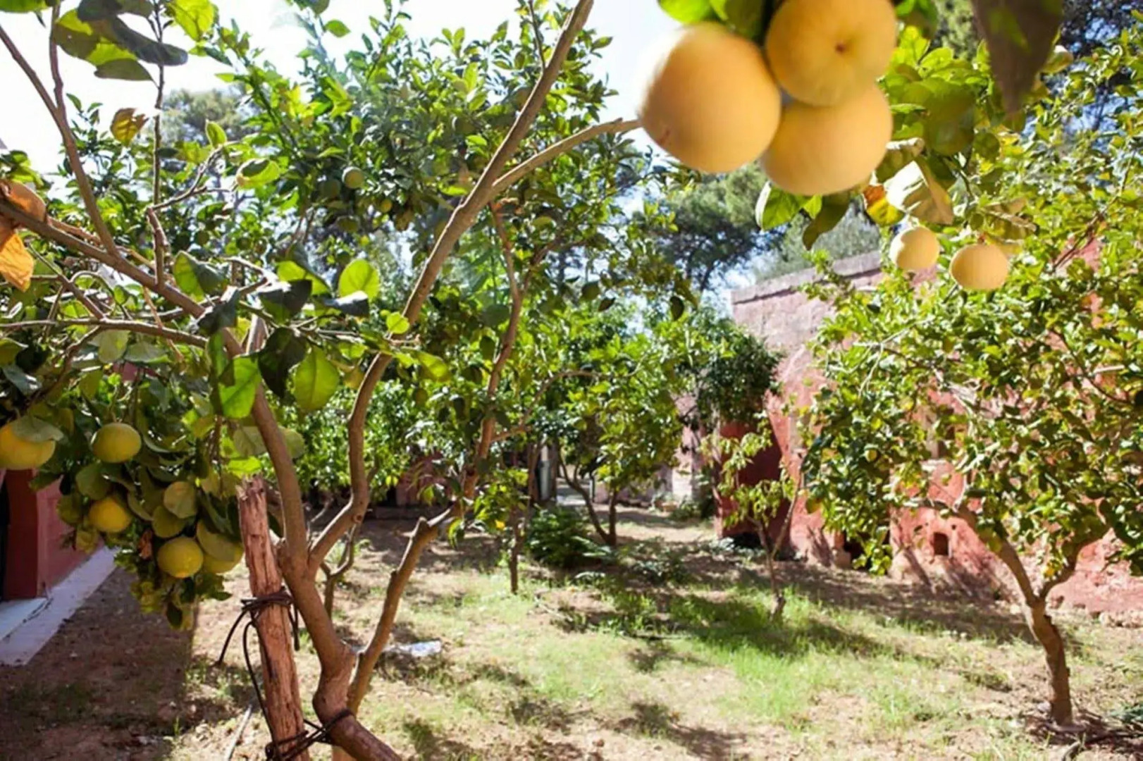 Agriturismo Tibitone