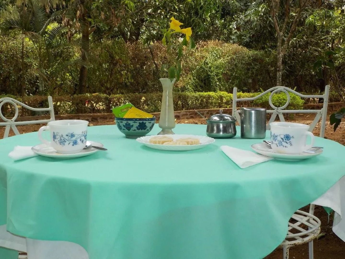 The Pink Daisy Bed and Breakfast