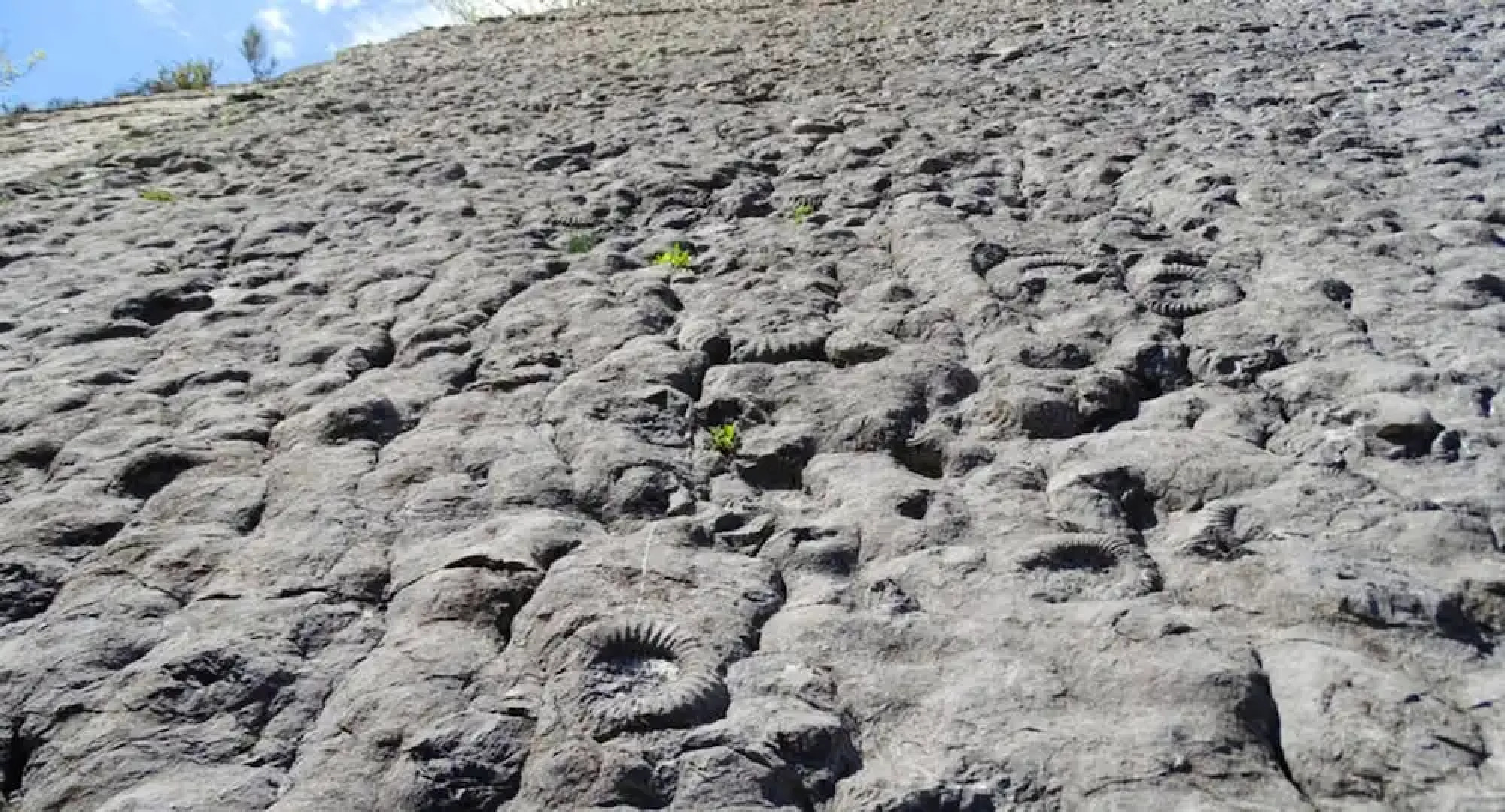 Apartment With one Bedroom in Selonnet, With Wonderful Mountain View, Shared Pool, Terrace - 15 km From the Beach