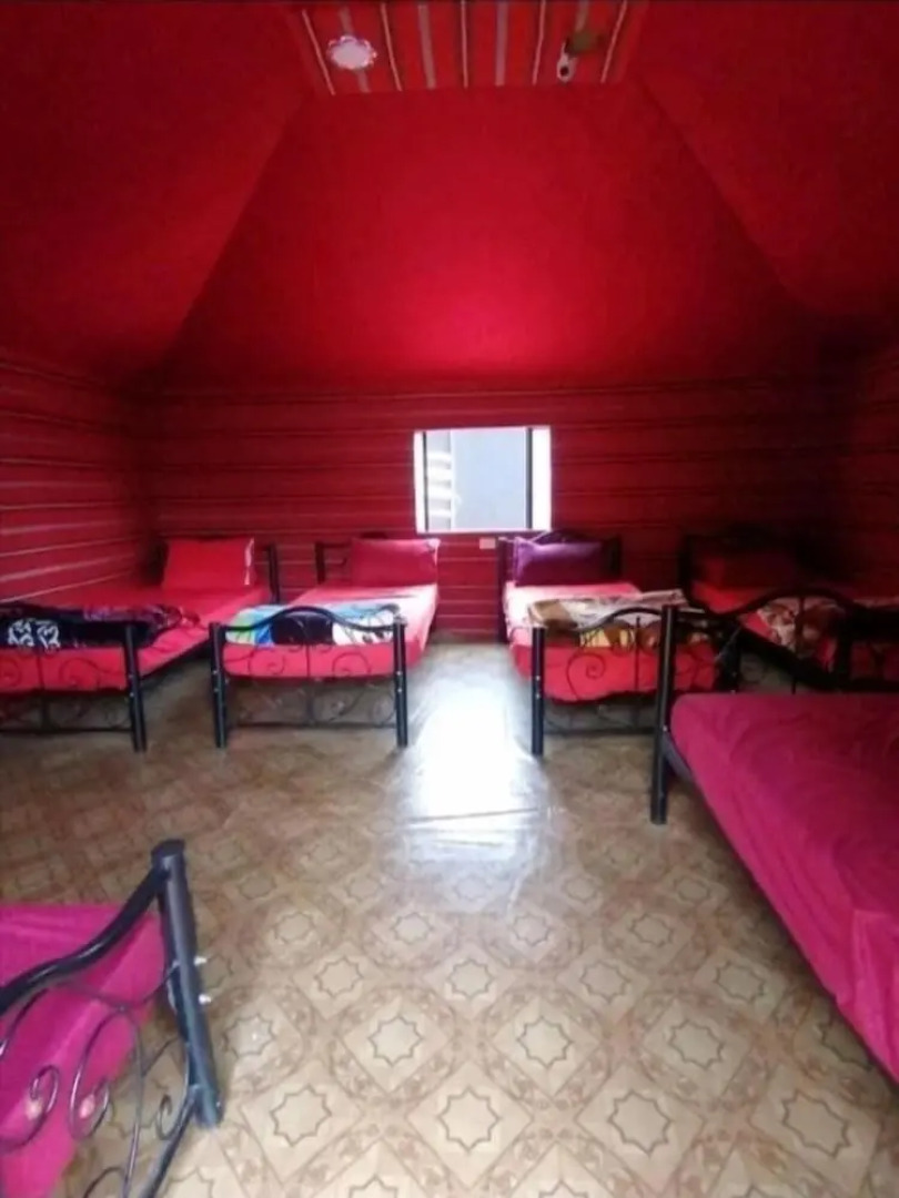 Bedouin habits tours camp