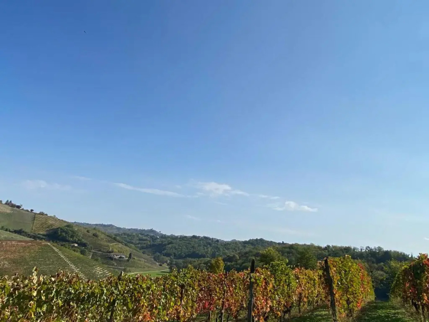 La casa del mandorlo - Patrimonio Unesco