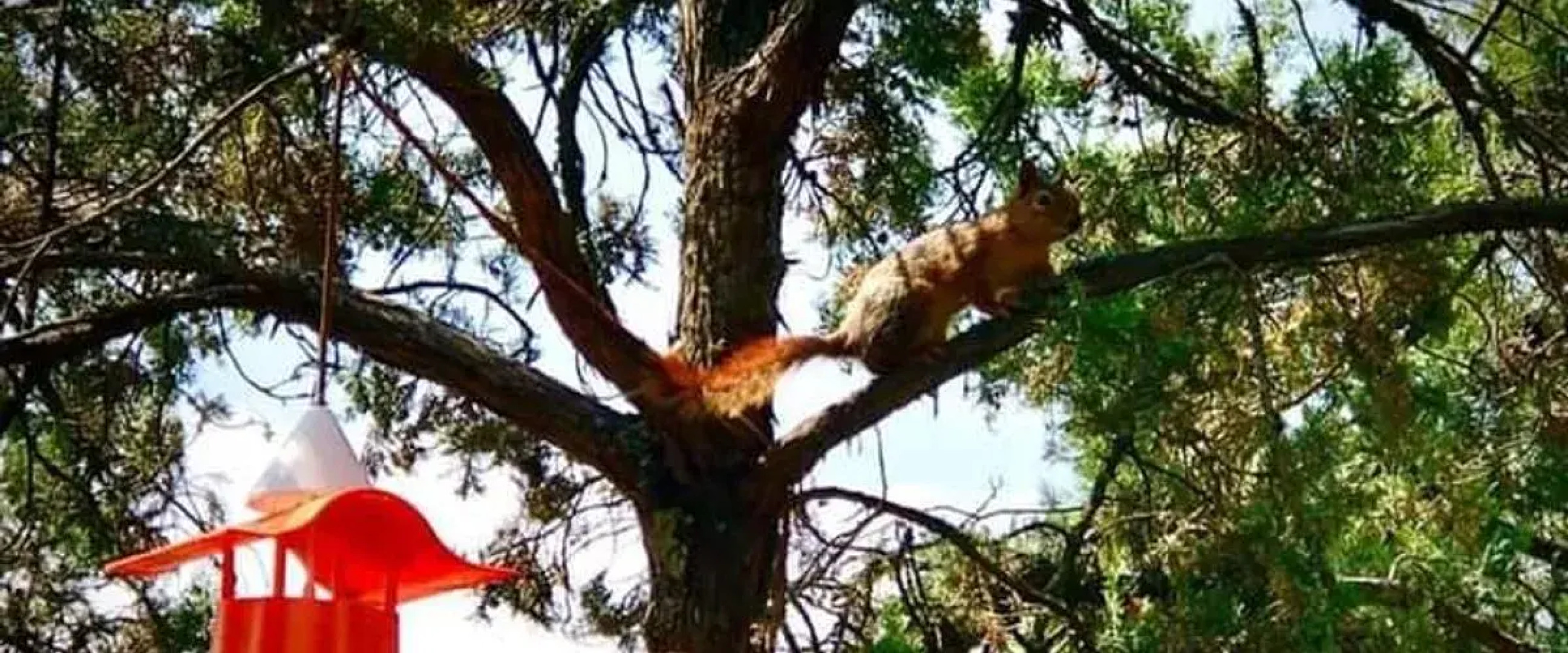 Harmancık Eko Turizm Tesisleri