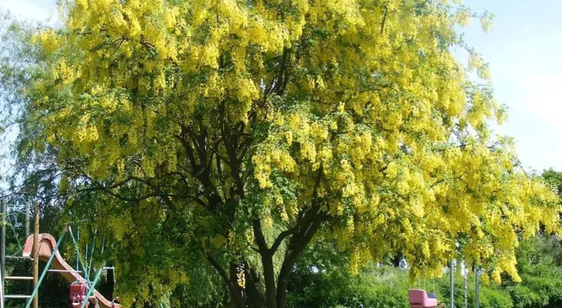 Agroturystyka Chłopy