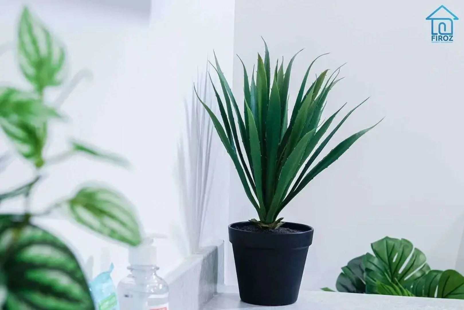 York Contractor House by Firoz Property Management