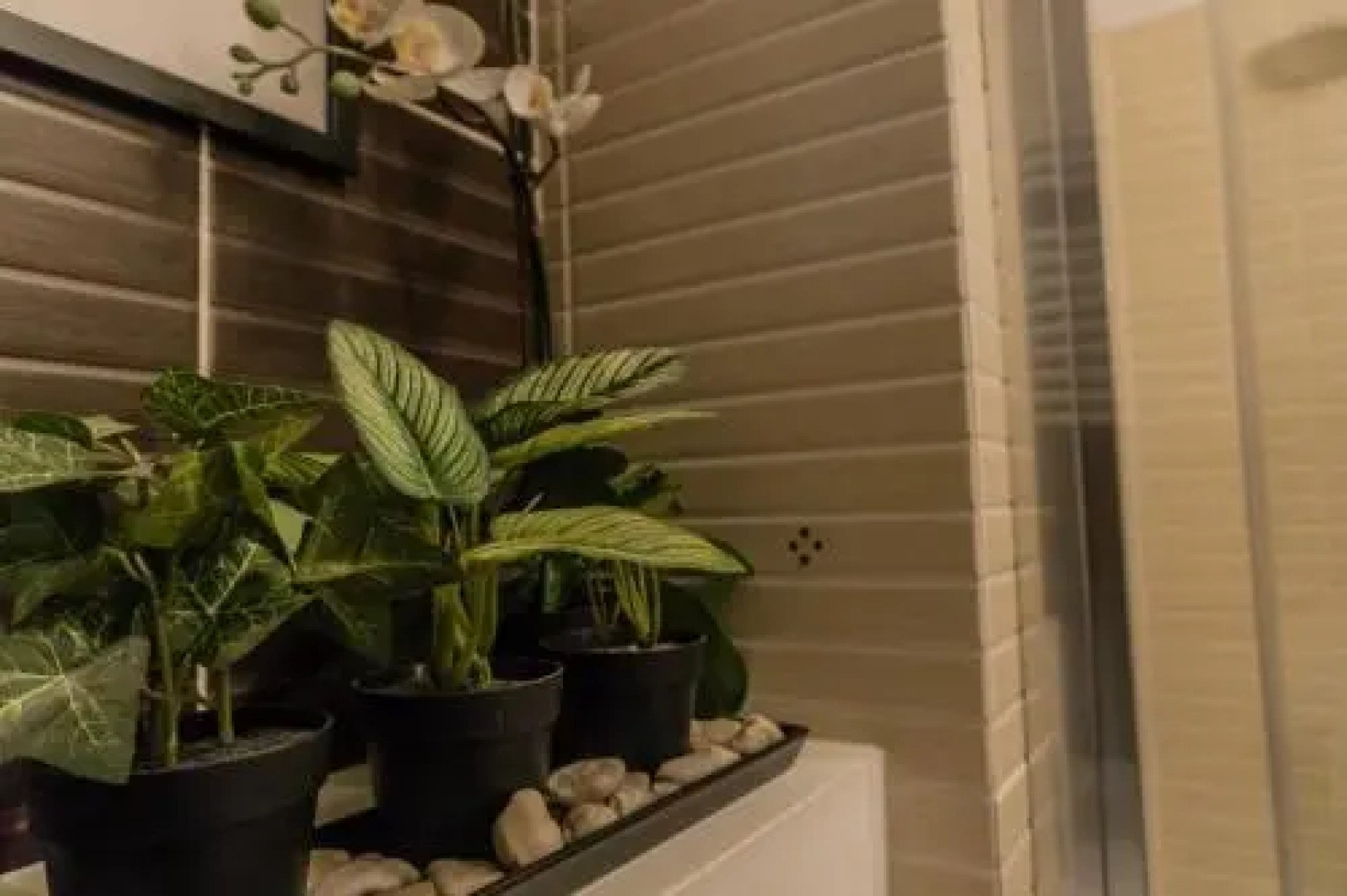 Apartamenty Balbina 1