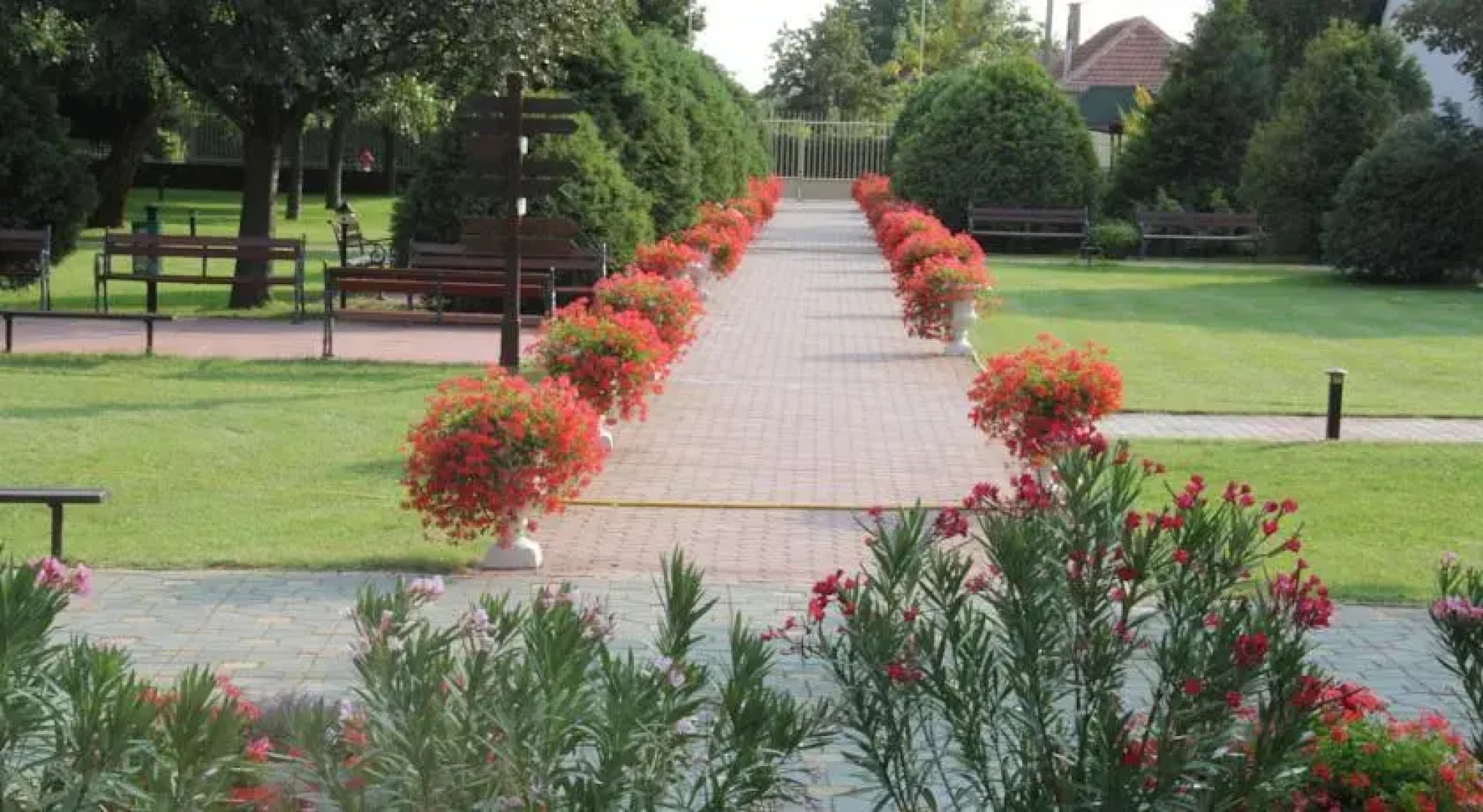 T.G.-Virágdekor Ifjúsági Szálló