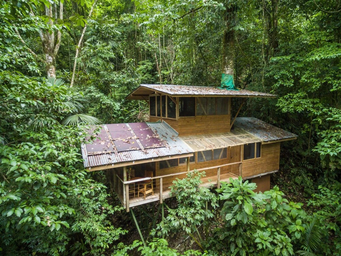 Finca Bellavista Treehouse Community