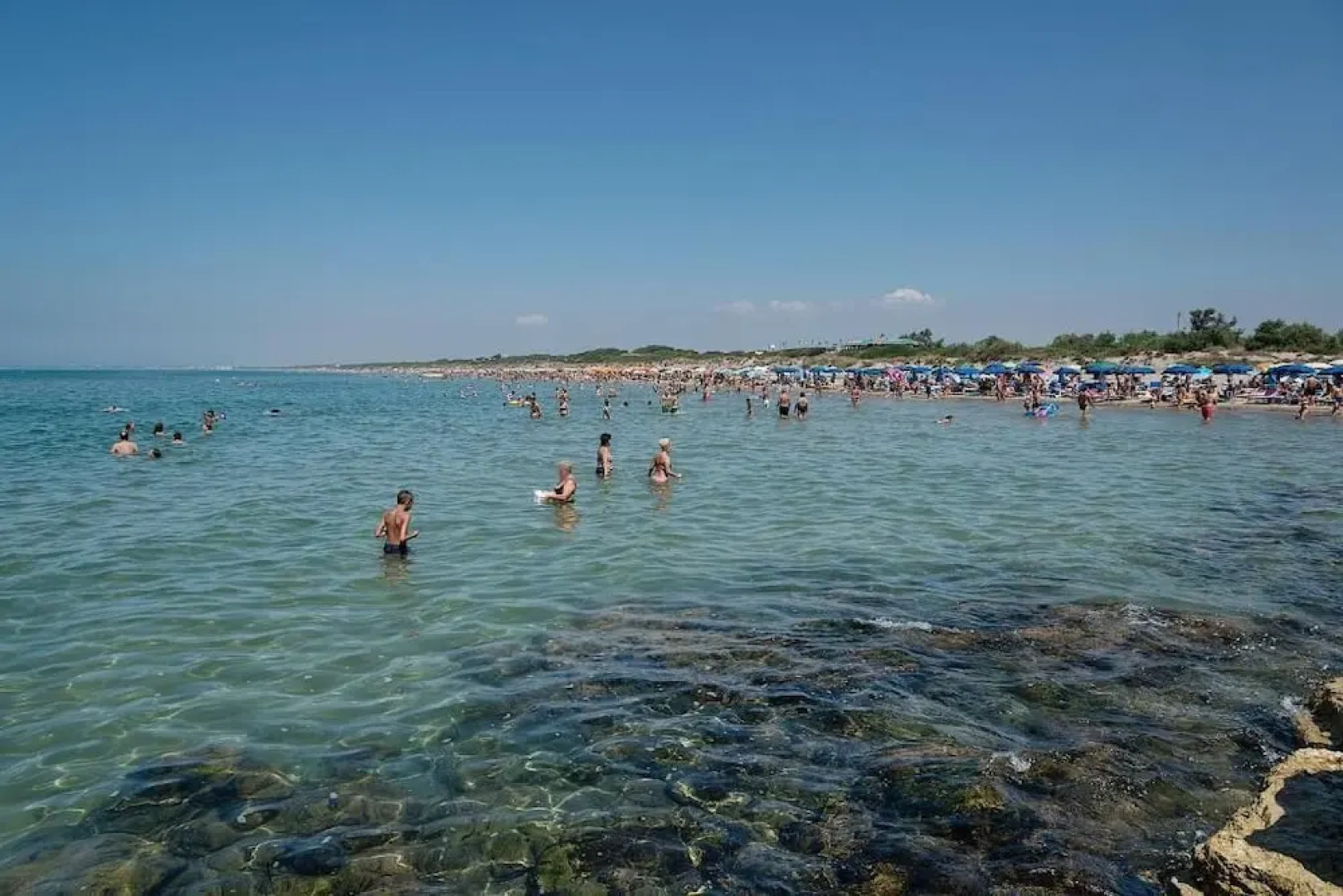 Il Melograno Da Pina