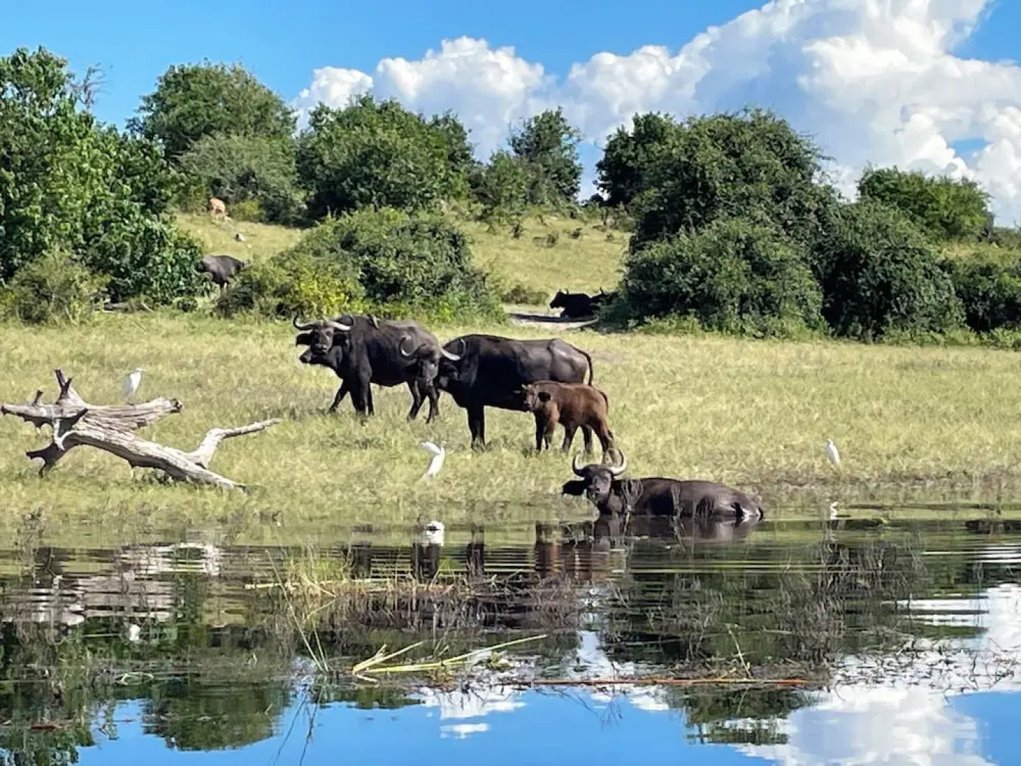 Beulah Court Vineyard Guest House