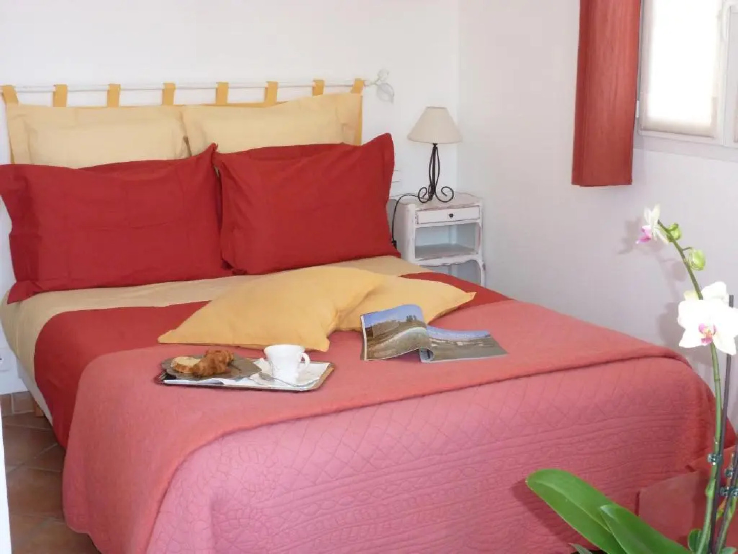 La Cigale sous l'olivier