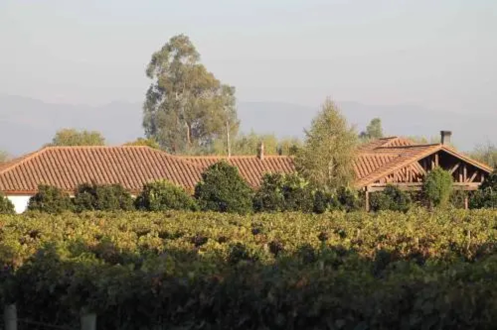 Santa Filomena de Cunaco