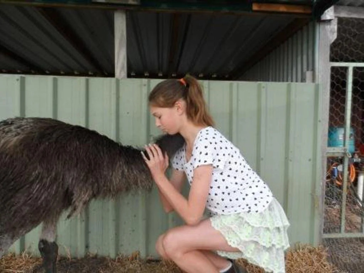 Tennessee Hill Chalets