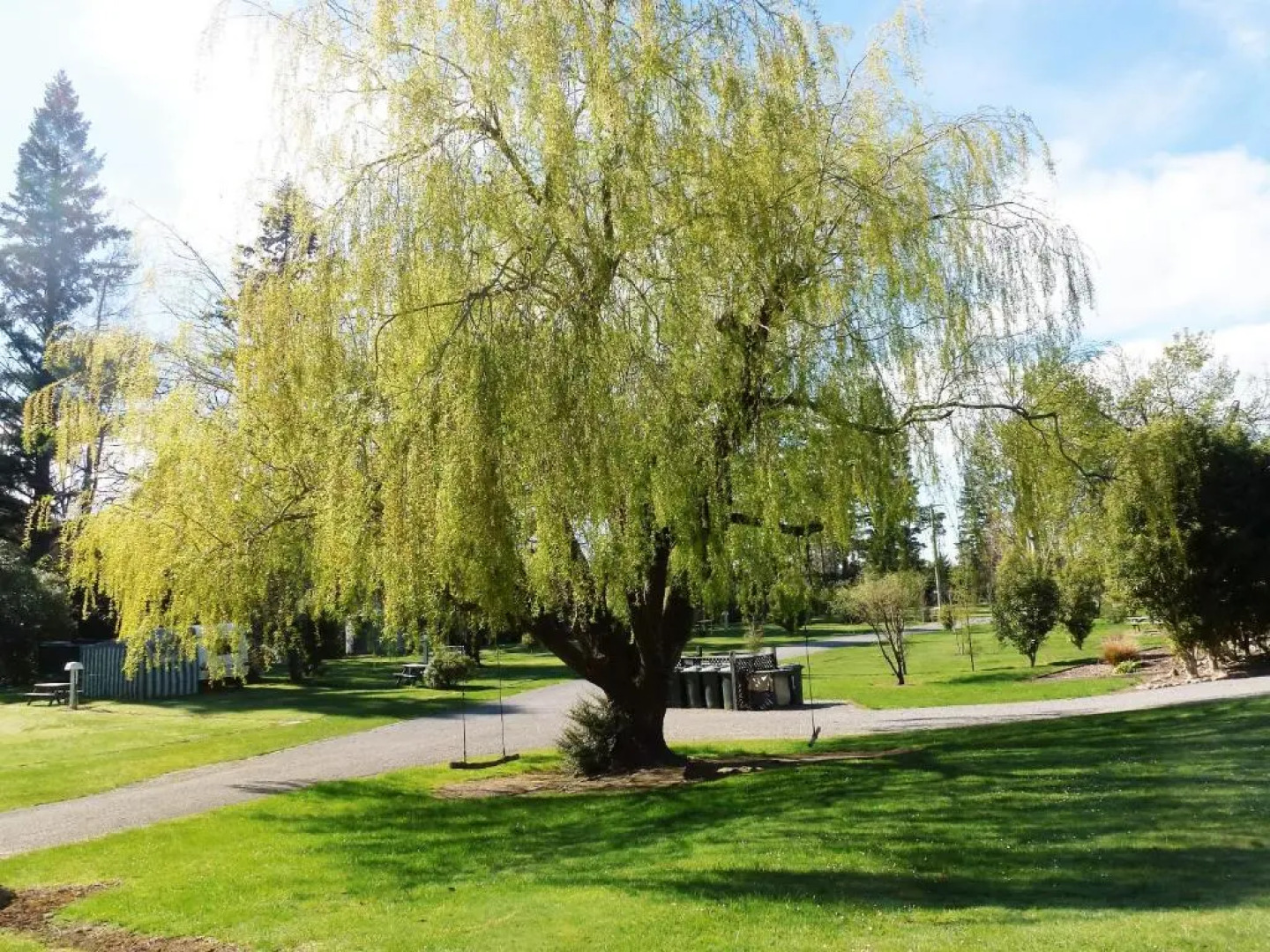 Ashley Gorge Holiday Park