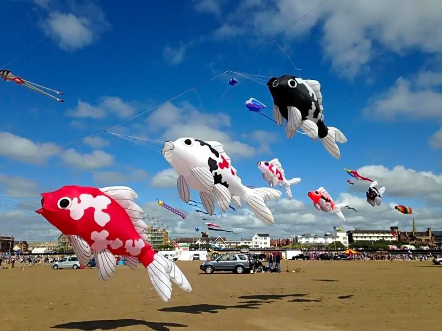 EsJays at Knowles House