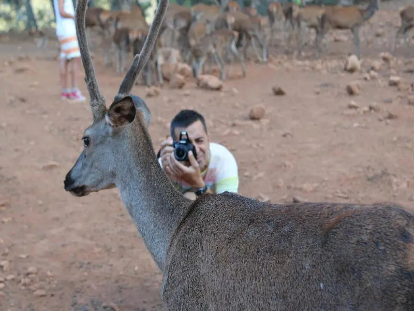 Hotel Rural Montaña de Cazorla