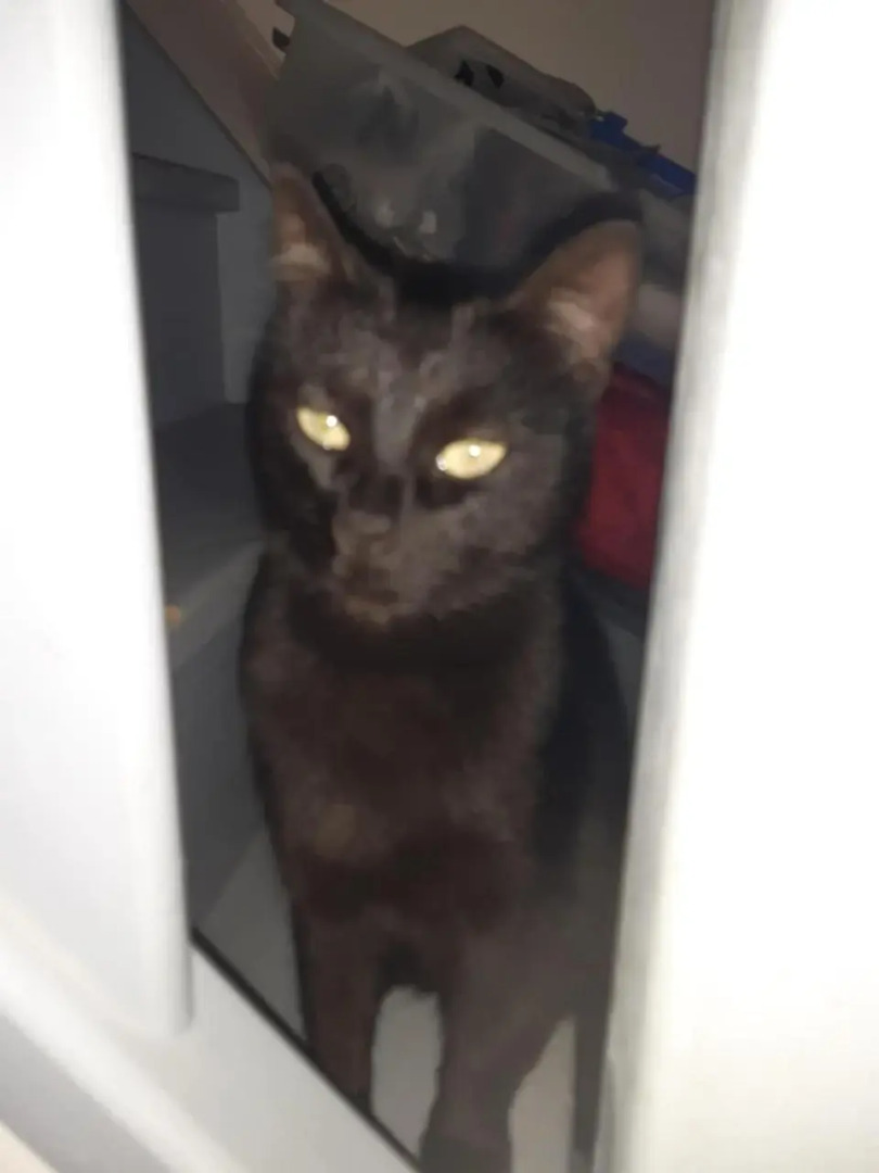 Chazey sur Ain, agréable petite maison de village