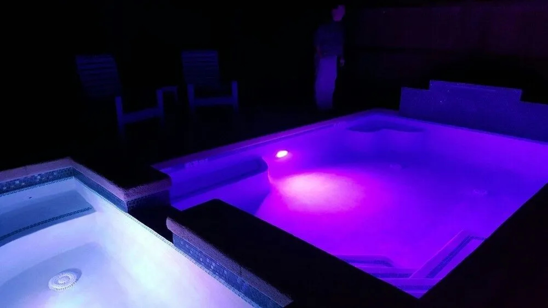 The Pink Palm 610 by RedAwning