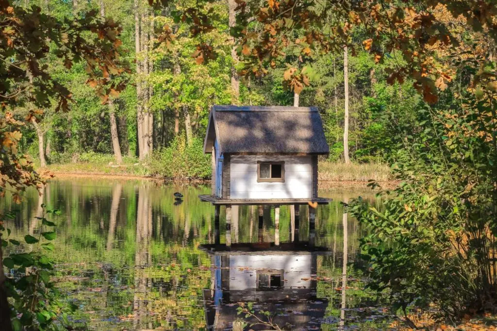 SPREE.Hotel in der Altstadt