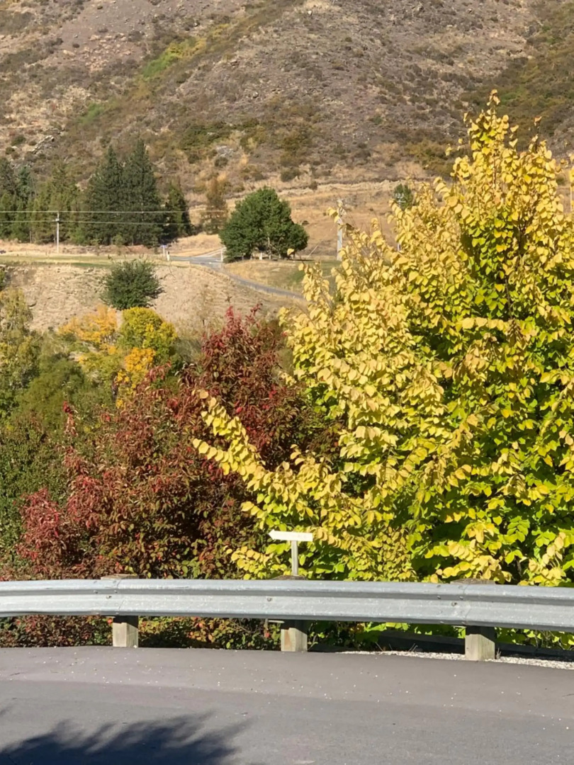 The Prospector on Miners