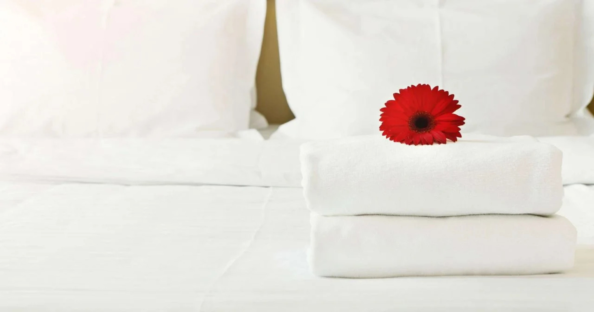 M Star Hotel North Mobile