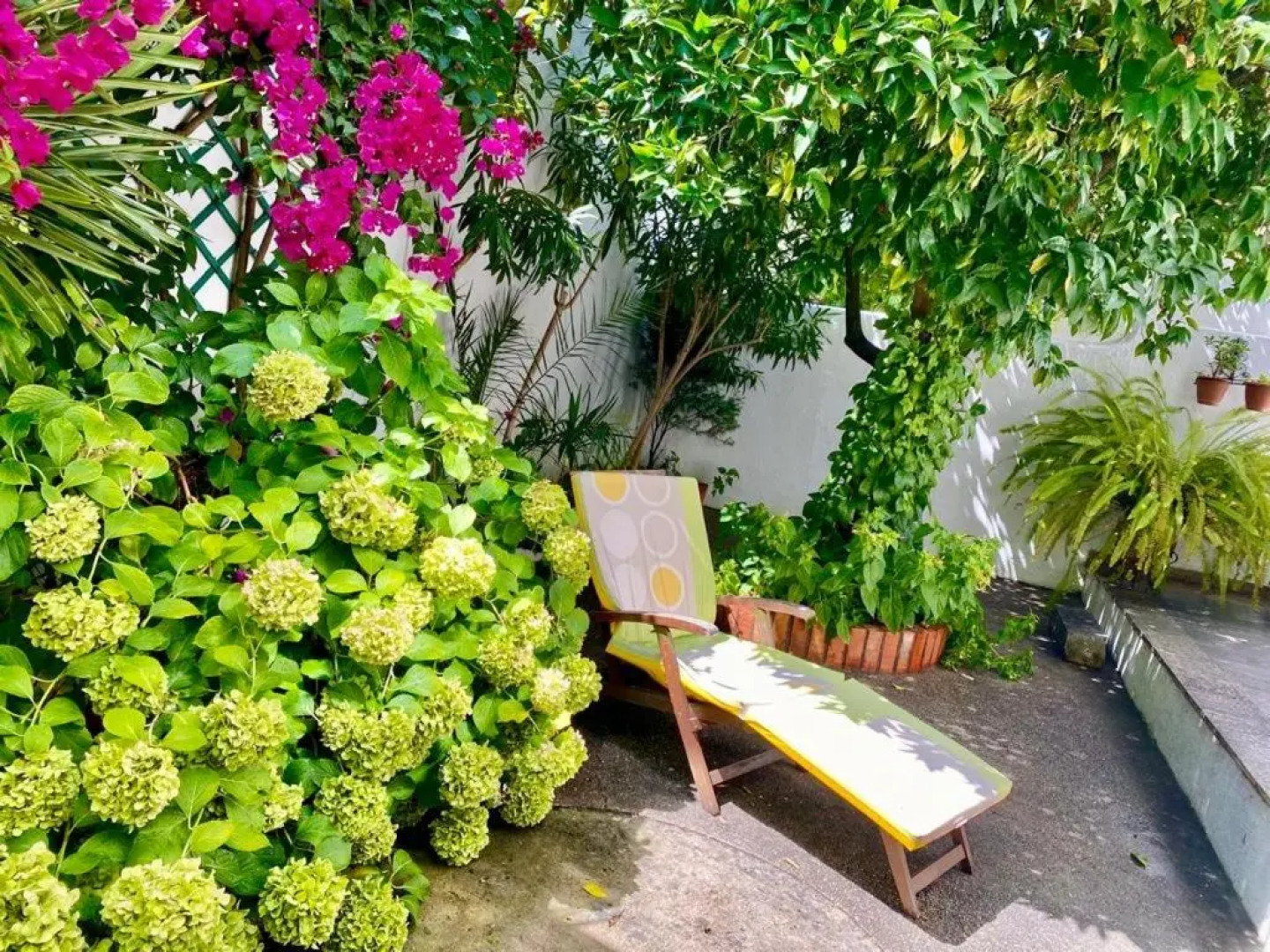 Pátio da Laranjeira