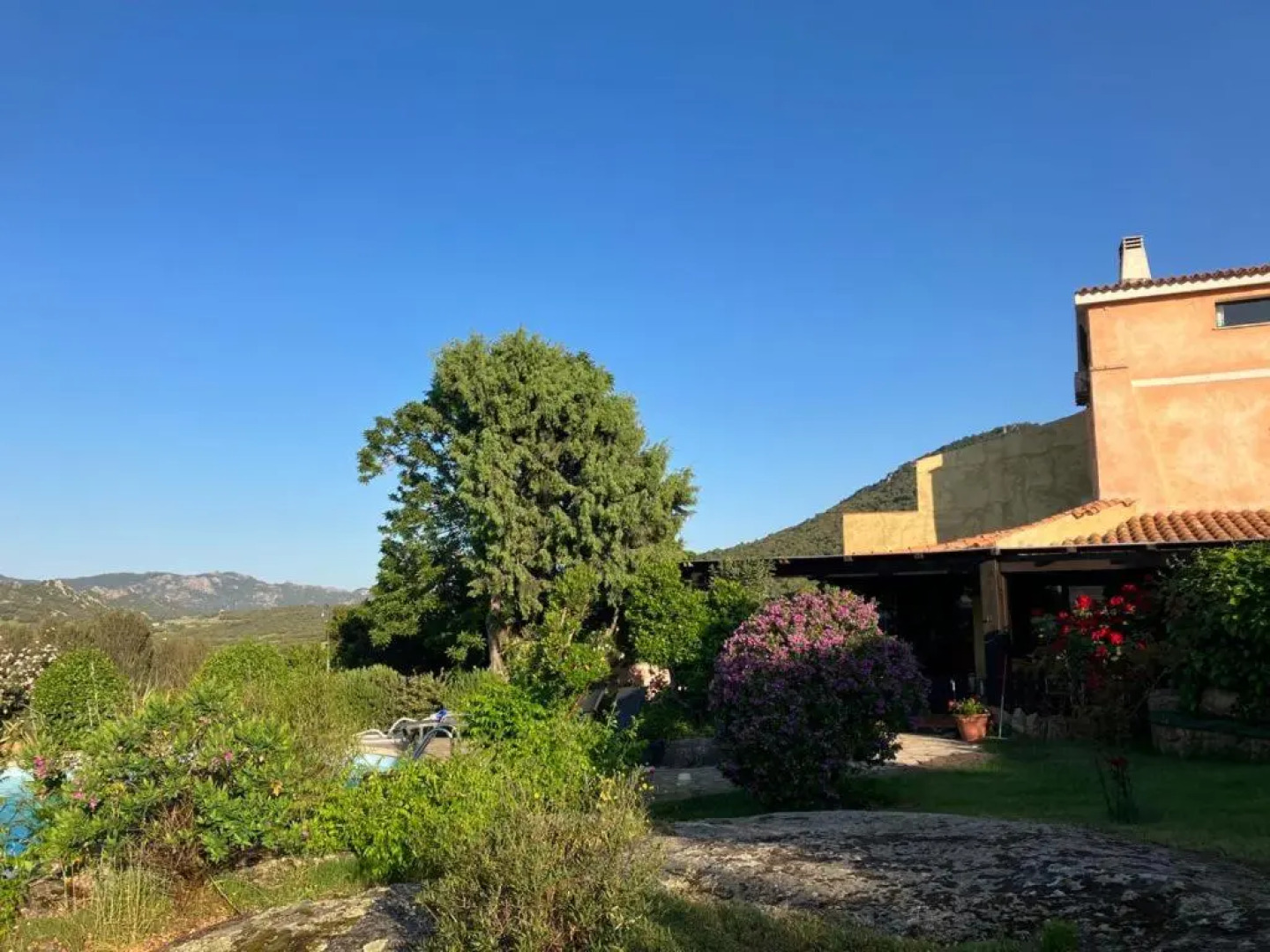 Angelo e Arcangela - Nuova Gestione 2022